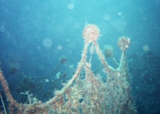 Diving in Salento